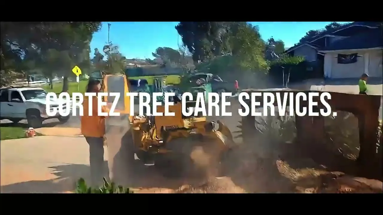 Caso en video de Arkimidez para Cortez Tree Care en Vista, California